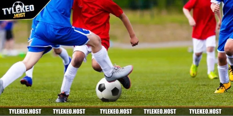 Một số phương pháp giúp bạn chơi cá cược bóng đá thắng lớn