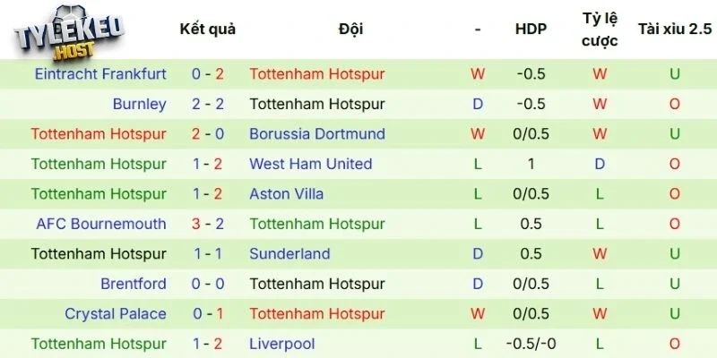 Thành tích gần đây của gà trống 